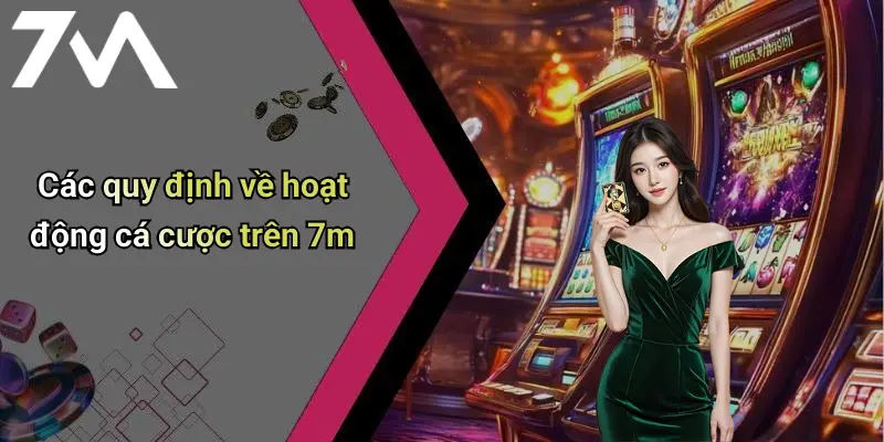 Các quy định về hoạt động cá cược trên 7m