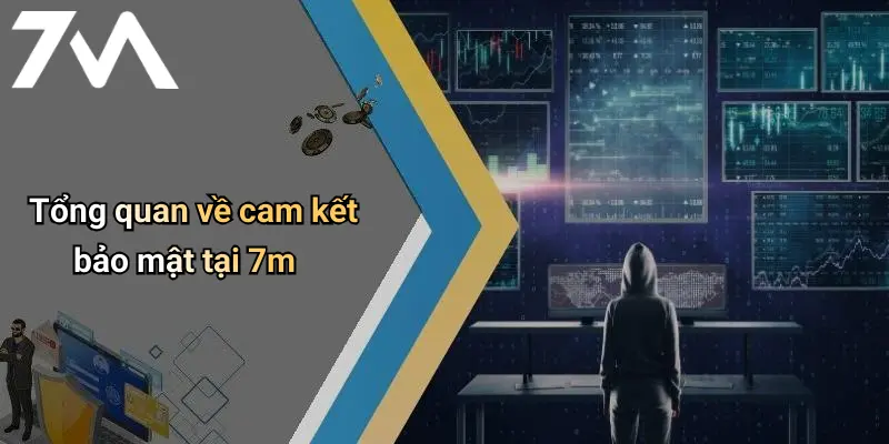 Tổng quan về cam kết bảo mật tại 7m