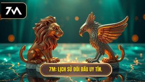 Lịch sử đối đầu 2 đội