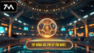Tip bóng đá miễn phí